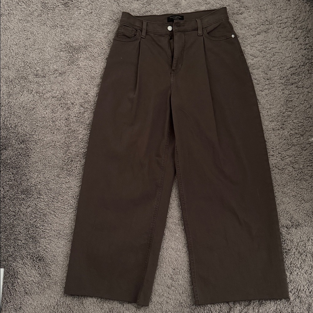 Banana Republic HR Pleated Raw Truffle Wide Leg Crop